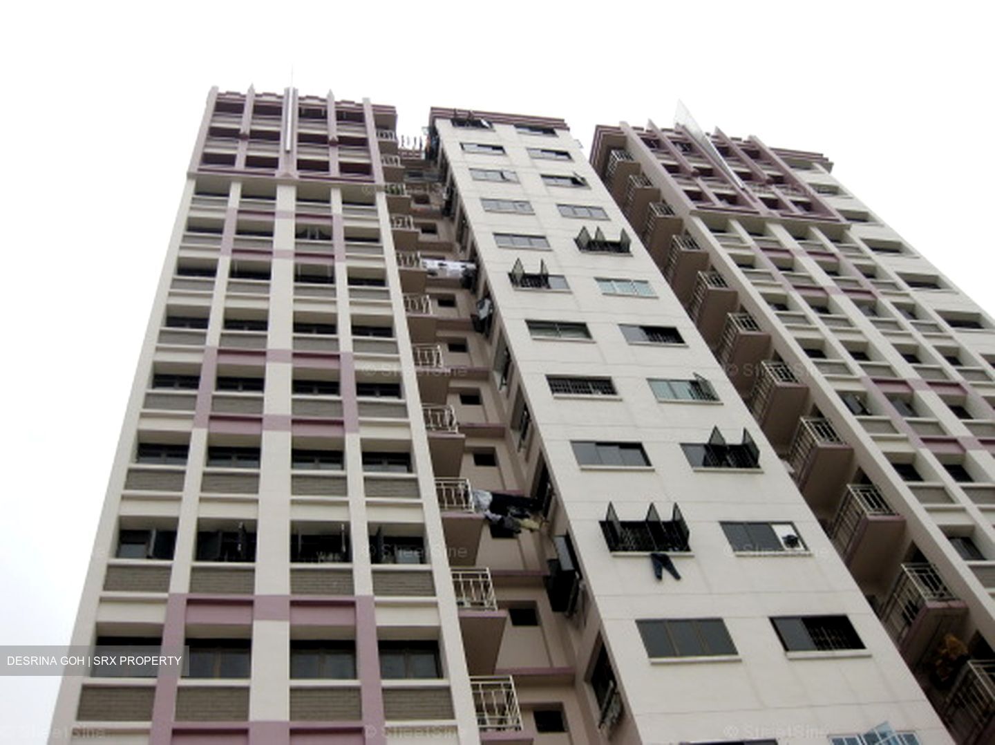 Hougang Street 91 (Hougang), HDB 3 Rooms #558832851